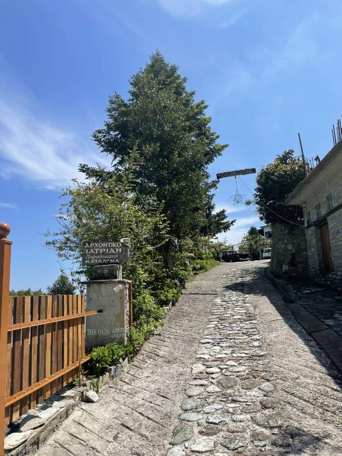 Archontiko Iatridis Hotel Mouresi Exterior photo
