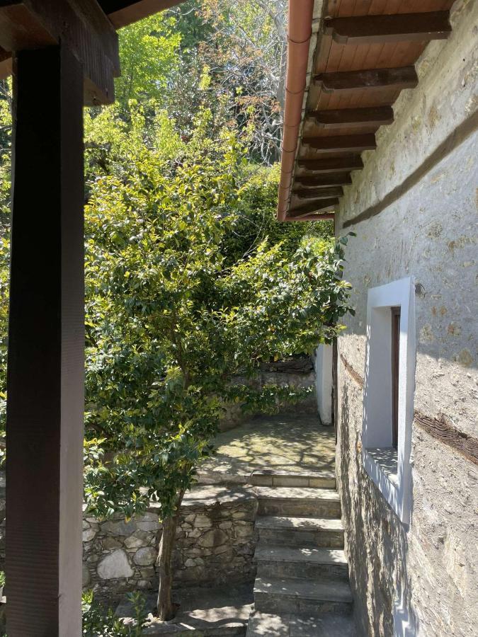 Archontiko Iatridis Hotel Mouresi Exterior photo