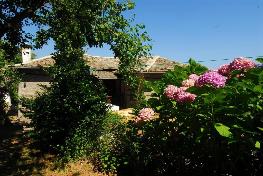Archontiko Iatridis Hotel Mouresi Exterior photo