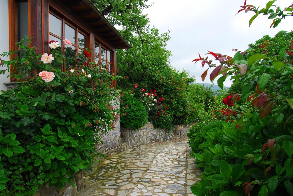 Archontiko Iatridis Hotel Mouresi Exterior photo