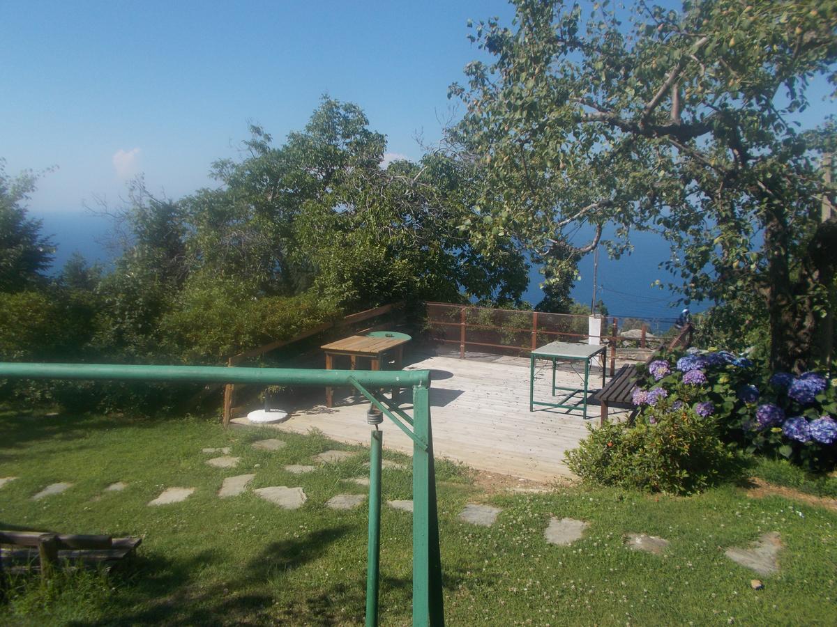 Archontiko Iatridis Hotel Mouresi Exterior photo