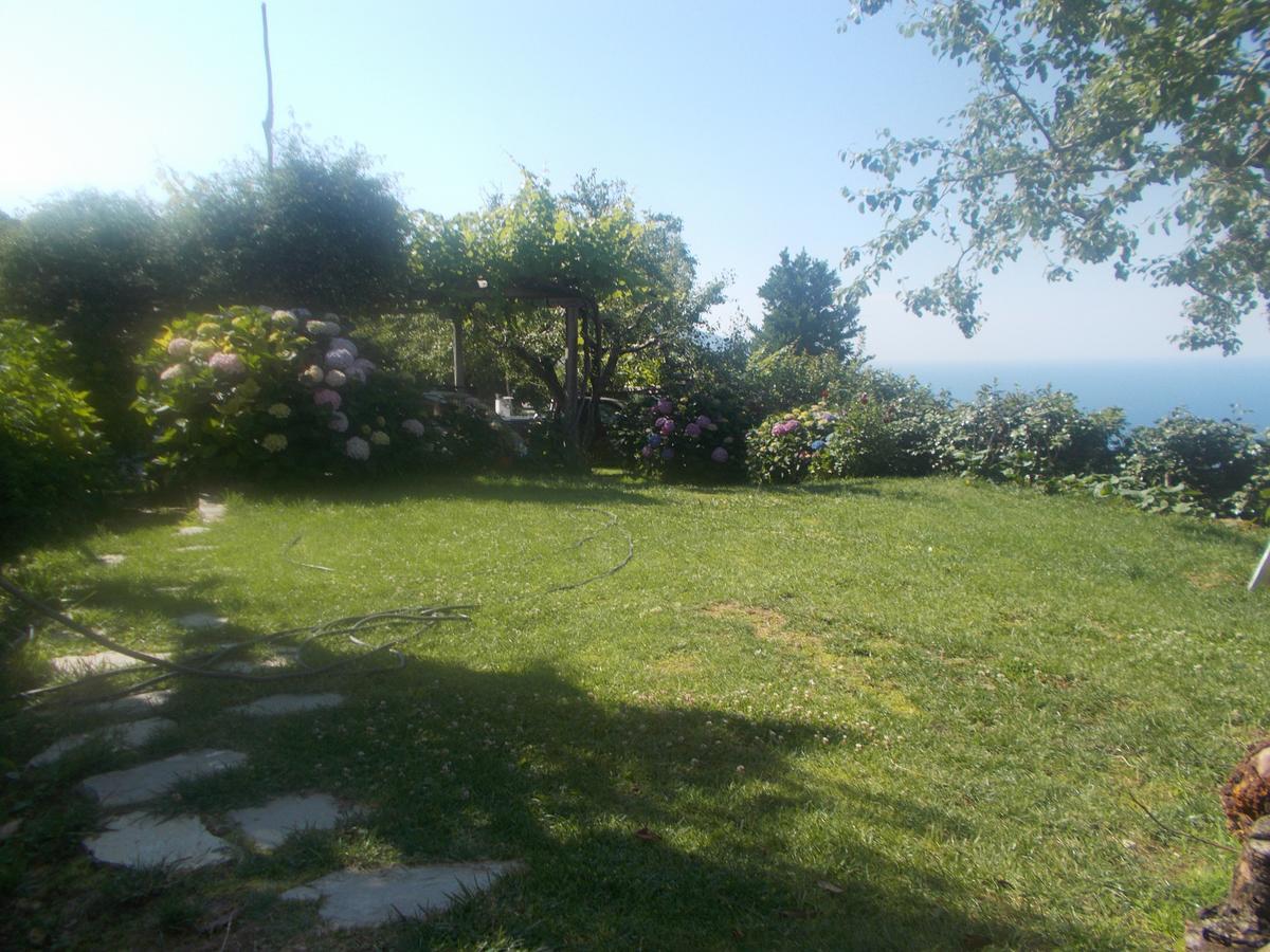 Archontiko Iatridis Hotel Mouresi Exterior photo