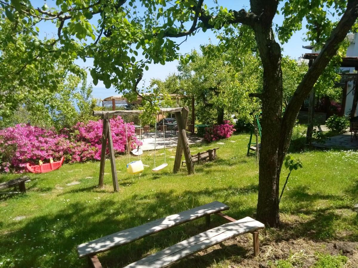 Archontiko Iatridis Hotel Mouresi Exterior photo