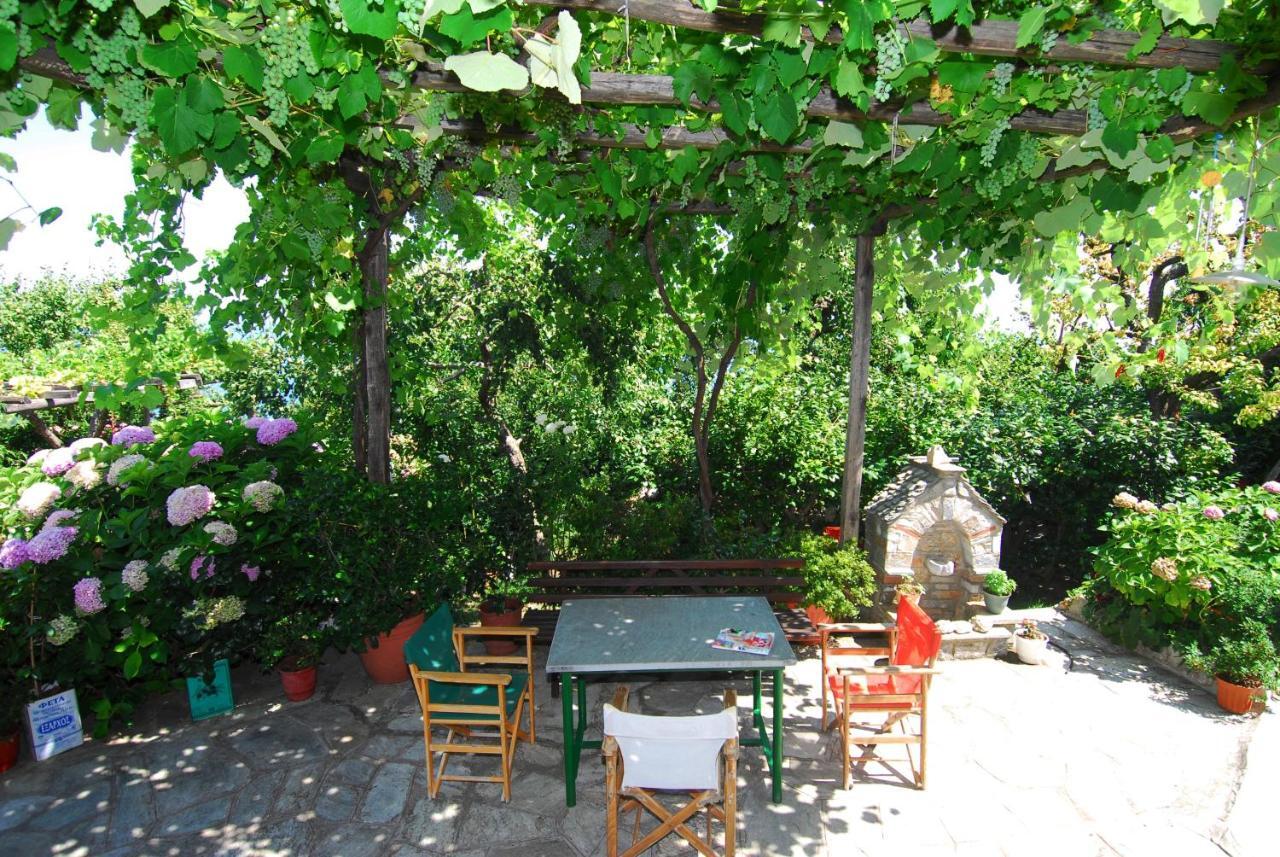 Archontiko Iatridis Hotel Mouresi Exterior photo